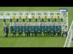 Video preview image for Hamilton Park 18:35 - Sas 'The Power To Know' Handicap