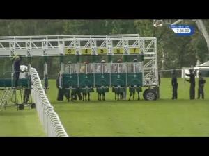 Video preview image for Hamilton Park 19:35 - Daily Record Handicap