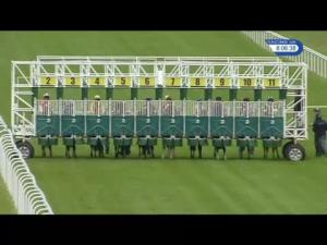 Video preview image for Hamilton Park 20:05 - racinguk.com Handicap