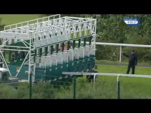 Video preview image for Hamilton Park 21:05 - Racing UK On Sky 432 Fillies' Handicap