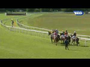 Video preview image for Perth 17:15 - Buffalo Farm Burgers Standard Open NH Flat Race