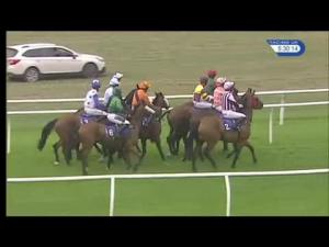 Video preview image for Stratford-on-Avon 17:30 - Brummies Conditional Jockeys' Handicap Hurdle (Div 1)