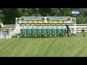 Video preview image for Beverley 14:45 - Racing UK Novice Auction Stakes (Div 2)