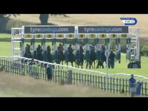 Video preview image for Beverley 16:45 - irishbigracetrends.com Handicap