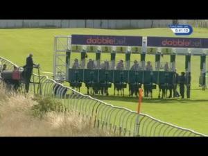 Video preview image for Thirsk 18:40 - Anderson Barrowcliff Selling Stakes