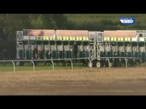 Video preview image for Thirsk 20:10 - Weatherbys Bank Foreign Exchange Fillies' Handicap