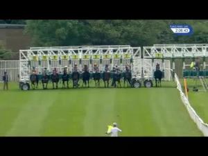 Video preview image for Catterick Bridge 14:05 - EBF Fillies' Novice Stakes (Plus 10)