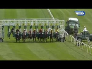 Video preview image for Catterick Bridge 15:15 - Alan Tippling Lifetime In Racing Award Fillies' Handicap
