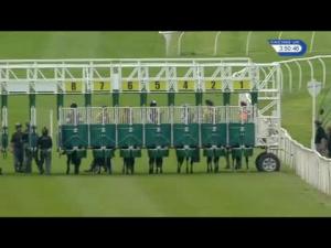 Video preview image for Catterick Bridge 15:50 - 5th Regiment Royal Artillery Handicap