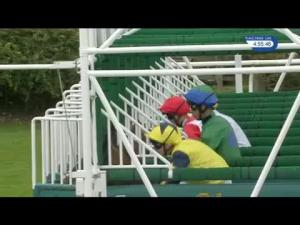 Video preview image for Catterick Bridge 16:55 - Racing UK Now On Talktalk TV Handicap