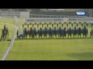 Video preview image for Sandown Park 18:35 - Wolseley Novice Auction Stakes