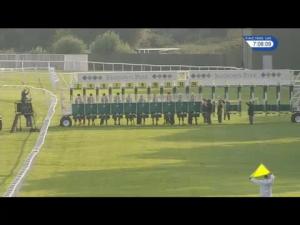 Video preview image for Sandown Park 19:05 - Pipe Center Handicap