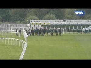 Video preview image for Sandown Park 19:40 - Robert Dyas Handicap