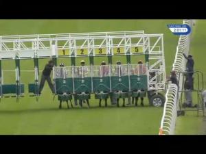 Video preview image for Hamilton Park 14:00 - British Stallion Studs EBF Novice Stakes (Plus 10)
