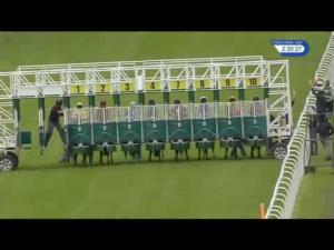 Video preview image for Hamilton Park 14:30 - Watch Racing UK In HD Handicap