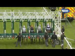 Video preview image for Hamilton Park 15:35 - Racing UK Handicap