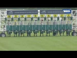 Video preview image for Newbury 14:10 - Upham Brewery EBF Novice Stakes (Str) (Plus 10) (Div 2)
