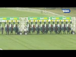 Video preview image for Newbury 14:40 - Bet365 EBF Fillies' Novice Stakes (Plus 10)