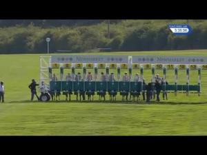 Video preview image for Newmarket 17:35 - Fly London Southend Airport To Perpignan Fillies' Handicap