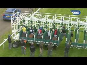 Video preview image for Hamilton Park 18:20 - Bb Foodservice EBF Novice Stakes (Plus 10)