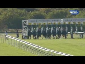 Video preview image for Newmarket 18:40 - Fly London Southend Airport To Lyon Handicap