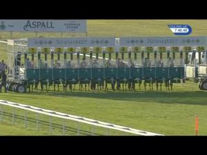 Video preview image for Newmarket 19:45 - EBF Fillies' Handicap