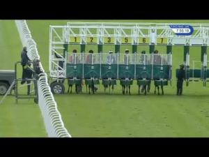 Video preview image for Hamilton Park 19:55 - British Stallion Studs EBF Glasgow Stakes (Listed)