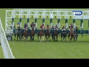Video preview image for Hamilton Park 20:25 - Route 74 Truckstop Handicap