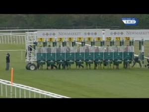 Video preview image for Newmarket 20:45 - Fly London Southend Airport To Venice Handicap