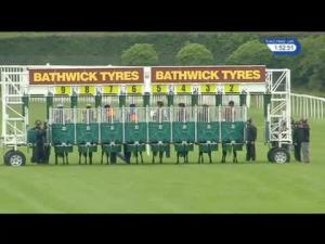 Video preview image for Newbury 13:50 - Bathwick Tyres Handicap