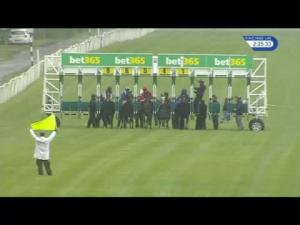 Video preview image for Newbury 14:25 - Bet365 Stakes (Listed) (Registered As The Steventon Stakes)