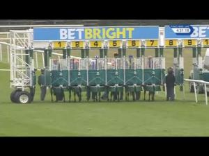 Video preview image for Newmarket 16:25 - Betbright Maiden Stakes
