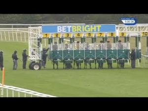 Video preview image for Newmarket 17:00 - Betbright Handicap