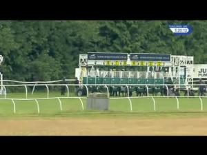 Video preview image for Newbury 17:20 - Grundon Recycling Handicap
