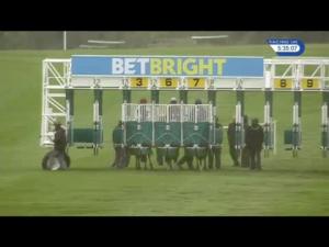 Video preview image for Newmarket 17:35 - Betfinder By Betbright Handicap