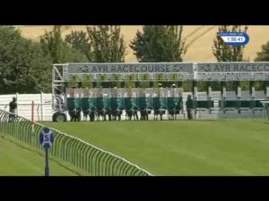 Video preview image for Ayr 13:55 - racinguk.com Novice Stakes (5)