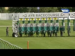 Video preview image for Ayr 15:05 - Finest Collection Of Racing On Racinguk Handicap (4)