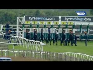 Video preview image for Beverley 19:25 - George Kilburn Memorial Handicap (5)