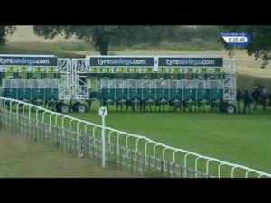 Video preview image for Beverley 20:25 - Sky Bet Go-Racing-In-Yorkshire Summer Festival Handicap (6)