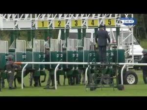 Video preview image for Musselburgh 14:45 - Irish Stallion Farms EBF Novice Median Auction Stakes (5)