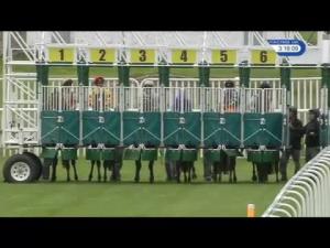 Video preview image for Musselburgh 15:15 - Arthur McKay Servest Handicap (4)