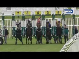 Video preview image for Musselburgh 16:45 - Never Miss A Race On Racinguk Handicap (4)