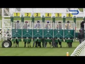 Video preview image for Musselburgh 17:15 - Finest Collection Of Racing On Racinguk Handicap (6)