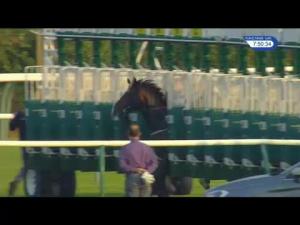 Video preview image for Nottingham 19:50 - 32Red Handicap (4)