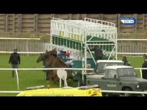Video preview image for Catterick Bridge 14:00 - Sporting Life Pick 7 Starts Now Selling Stakes (6)