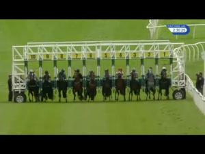 Video preview image for Catterick Bridge 14:30 - Support The Yorkshire Air Ambulance EBF Novice Stakes (5)