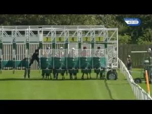 Video preview image for Catterick Bridge 16:00 - Sky Bet Go-Racing-In-Yorkshire Summer Festival Handicap (4)