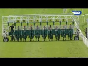 Video preview image for Catterick Bridge 16:30 - Never Miss A Race On Racinguk Handicap (6) (Div 1)