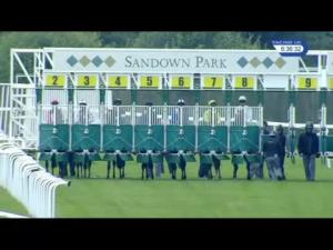 Video preview image for Sandown Park 18:35 - Watch Racing UK On Sky 432 Handicap (4)