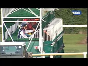 Video preview image for Leicester 18:45 - Tom Cribb Handicap (4)